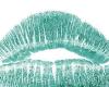 What your lips say about your health