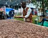 Ivory Coast sets cocoa price at record high