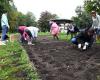 Pink October is launched in Nevers with the planting of tulip bulbs in Salengro Park