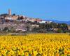 Since Covid, the rural departments of Occitanie are attracting more and more city dwellers, particularly from Ile de France