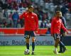 Lille recovers two midfielders before facing Toulouse – Ligue 1 – J7 – Lille-Toulouse