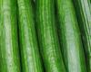 “A well-oriented market during the summer” for cucumbers according to Agreste