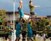 Rugby: the Landes derby between Dax and Mont-de-Marsan will be played well in Bayonne