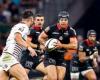 Top 14 – Toulouse: Chocobares avoids the operation box