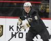 NHL: Mathieu Cataford learned a lot from his first camp with the Golden Knights