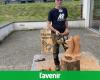 Philippe Noirot, from Transinne, has been sculpting with a chainsaw for over 25 years (video)