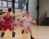 Amateur basketball – Women’s National 3: better for Auch BC, despite a new setback on the Albi floor