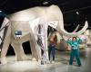 the large mammals of the past stars of the new exhibition at the Toulouse Museum