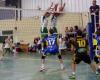 Amateur volleyball (Men’s National 3). Tarascon/Foix suffers but does not break