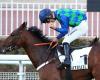 Auteuil: Music Maestro remains undefeated