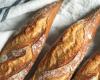 “A rating of 5/5 and hundreds of visitors per day”: it is in this bakery that the best baguette in Paris 2024 can be tasted