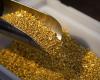 Gold price rises after data supports bets of a US interest rate cut