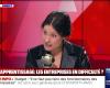 “Extremely surprised”: the very unusual remarks of her guest make Apolline de Malherbe fall from her chair