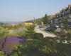 cycling redesigns the eastern entrance to Rives-en-Seine