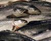 Pink trout fillets recalled throughout France