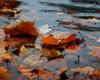 Cévennes autumn episode with very heavy rainfall expected: five departments on orange alert