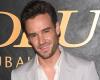 New Details From Liam Payne 911 Call Revealed, Including Claims About What Happened Leading Up To His Death | Liam Payne | Just Jared: Celebrity News and Gossip