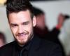 Did Liam Payne have any children?