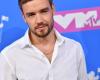 Here’s what you need to know about One Direction singer Liam Payne