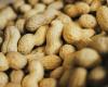 Can you be allergic to peanuts on a plane? It’s unlikely…