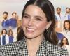 ‘Scott Brothers’ Sophia Bush to Star in ‘Grey’s Anatomy’