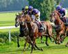 Quinté of Thursday October 17 in Chantilly: Hervé Fortin’s predictions