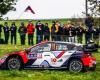 Classification ES7 Central Europe Rally 2024