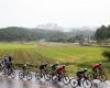 Cycling. Japan Cup – The 31st edition of the Japan Cup… Course, profile and favorites