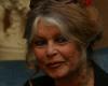 Brigitte Bardot calls for mobilization to free Paul Watson: News