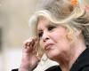 “A little COURAGE Mr. President!: Brigitte Bardot mobilizes for activist Paul Watson