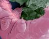 the astonishing story of the tardigrade who thought he was a beet