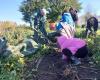 This Dordogne farm has a “near zero” carbon footprint and a circular economy model