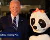 Jill Biden dresses as a giant panda for final White House Halloween