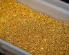 Gold little changed before US employment data