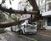 Two dead and 500 injured in Taiwan after typhoon