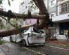 Typhoon Kong-rey leaves at least two dead and more than 500 injured