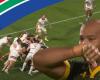 TOP14. The South African touch which allows Stade Rochelais to martyr its opponents