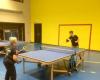 Table tennis begins its 7th season