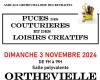 Puce des seamstresses and creative hobbies Orthevielle Sunday November 3, 2024