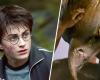 Harry Potter fans unbothered over official cancellation – Harry Potter