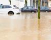 Dramatic floods in Spain, the Secours populaire du Territoire de Belfort launches an appeal for donations