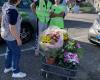 “These young people are very nice”: teenagers carry flower pots to the Romans-sur-Isère cemetery