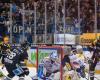 Friborg fails to string together victories and loses against Kloten