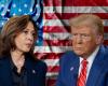 Trump or Harris in the US election: survey expert gives result forecast