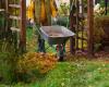 My 11 Favorite Tools for Fall Yard Clean-Up