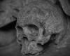 A human skull more than fifty years old discovered in a garage