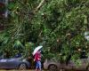 Taiwan: Typhoon Kong-rey leaves 2 dead and more than 500 injured