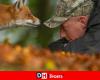 Moving face to face between Maxime Bachely, wildlife photographer from Maubray, and a fox