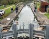 three tonnes of dead fish fished out of the Loing, emptying of the canal ordered