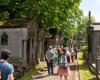 top 3 cemeteries in which it is good to stroll in Hauts-de-France